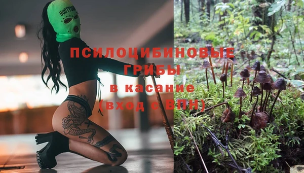трава Верхний Тагил